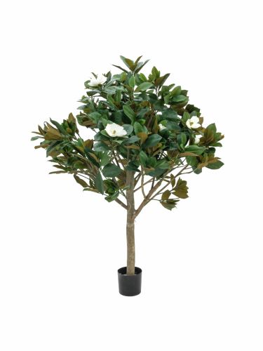 EUROPALMS Magnolienbaum, Kunstpflanze, 150cm
