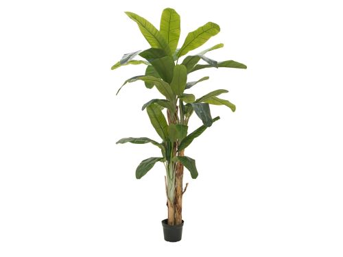 EUROPALMS Bananenbaum, Kunstpflanze, 240cm