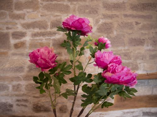 EUROPALMS Pfingstrose, rosé, Kunstpflanze, 90cm