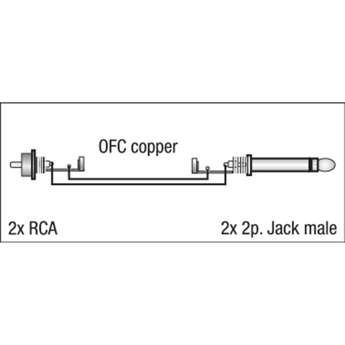 DAP Audio FL23 - 2 RCA Male L/R > 2 mono Jack L/R Kabel